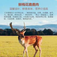 一鹿有禮鹿肉禮盒B