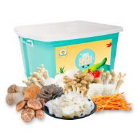 大農莊園-正陽鮮蔬禮盒11種/約重3.5kg