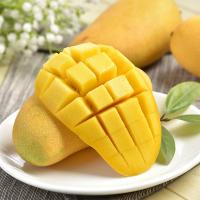 大農(nóng)莊園-果然有品水果禮盒9種約8.0kg