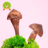 大農莊園-中秋炎節鮮蔬禮盒